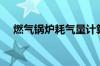 燃气锅炉耗气量计算（燃气锅炉耗气量）