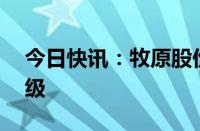 今日快讯：牧原股份等33股获机构买入型评级