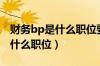 财务bp是什么职位要学什么专业（财务bp是什么职位）