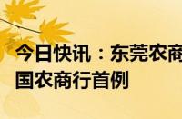 今日快讯：东莞农商行“村改分”获批，系全国农商行首例