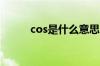 cos是什么意思（角色扮演英文）