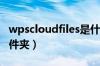 wpscloudfiles是什么文件夹（files是什么文件夹）