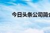 今日头条公司简介（今日头条公司）