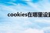 cookies在哪里设置（cookies在哪里）