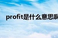 profit是什么意思啊（profit是什么意思）