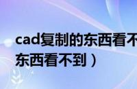 cad复制的东西看不到怎么回事（cad复制的东西看不到）