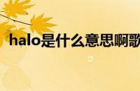 halo是什么意思啊歌词（halo是什么意思）