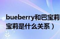 bueberry和巴宝莉的区别（baneberry跟巴宝莉是什么关系）