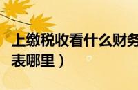 上缴税收看什么财务报表（上缴税金在财务报表哪里）