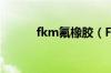 fkm氟橡胶（FKM是什么材料）