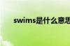 swims是什么意思（ims是什么意思）