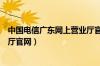 中国电信广东网上营业厅官网查询（中国电信广东网上营业厅官网）