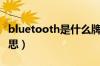 bluetooth是什么牌子（bluetooth是什么意思）