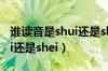 谁读音是shui还是shei（谁的拼音到底是shui还是shei）