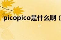 picopico是什么啊（picopico是什么意思）