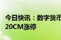 今日快讯：数字货币板块午后拉升，兆日科技20CM涨停