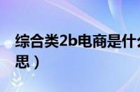 综合类2b电商是什么（综合类2b电商什么意思）