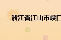 浙江省江山市峡口镇（浙江省江山市）