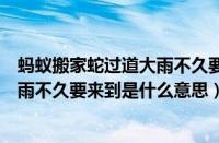 蚂蚁搬家蛇过道大雨不久要到来的意思（蚂蚁搬家蛇过道大雨不久要来到是什么意思）