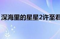 深海里的星星2许至君结局（深海里的星星2）