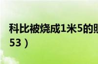 科比被烧成1米5的照片视频（科比被烧成1米53）