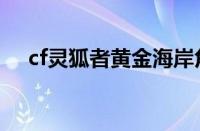 cf灵狐者黄金海岸角色属性（cf灵狐者）