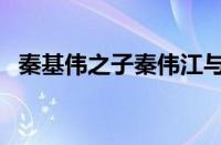 秦基伟之子秦伟江与黑社会（秦基伟之子）