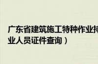 广东省建筑施工特种作业持证查询（广东省建筑施工特种作业人员证件查询）