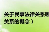 关于民事法律关系哪一项是正确的（民事法律关系的概念）