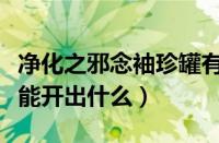 净化之邪念袖珍罐有什么（净化之邪念袖珍罐能开出什么）