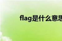 flag是什么意思（fl是什么意思）