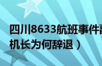 四川8633航班事件副机长辞退（四川8633副机长为何辞退）