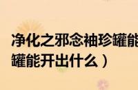 净化之邪念袖珍罐能开出啥（净化之邪念袖珍罐能开出什么）