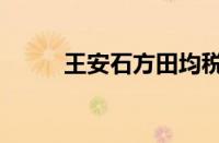 王安石方田均税法（方田均税法）