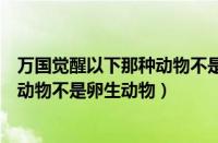 万国觉醒以下那种动物不是卵生动物（万国觉醒以下哪一种动物不是卵生动物）