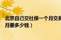 北京自己交社保一个月交多少钱（北京个人自己缴纳社保每月要多少钱）