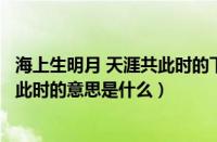 海上生明月 天涯共此时的下一句是什么（海上生明月天涯共此时的意思是什么）