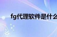 fg代理软件是什么意思（fg代理软件）