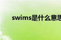 swims是什么意思（ims是什么意思）