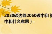 2030碳达峰2060碳中和 智慧能源（2030碳达峰和2060碳中和什么意思）