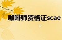 咖啡师资格证scae（咖啡师资格证等级）