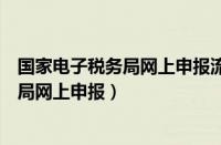 国家电子税务局网上申报流程视频（国家税务总局电子税务局网上申报）