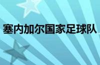 塞内加尔国家足球队（塞内加尔足球队名单）