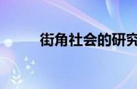 街角社会的研究方法（街角社会）