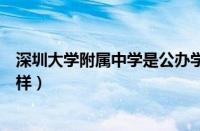 深圳大学附属中学是公办学位吗（深圳大学附属中学宿舍怎样）