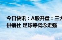 今日快讯：A股开盘：三大指数集体低开，沪指跌0.51%，供销社 足球等概念走强