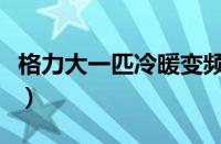 格力大一匹冷暖变频空调价格（变频空调价格）