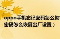 oppo手机忘记密码怎么恢复出厂设置开机（oppo手机忘记密码怎么恢复出厂设置）