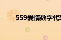 559爱情数字代表什么意思（559）