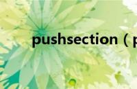 pushsection（pushauction官网）